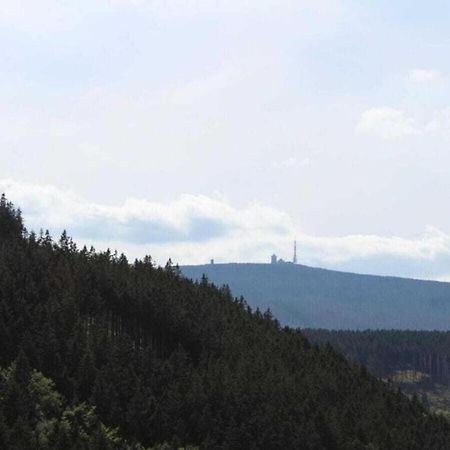 Classic Holiday Home In The Harz Mountains イルセンブルク エクステリア 写真