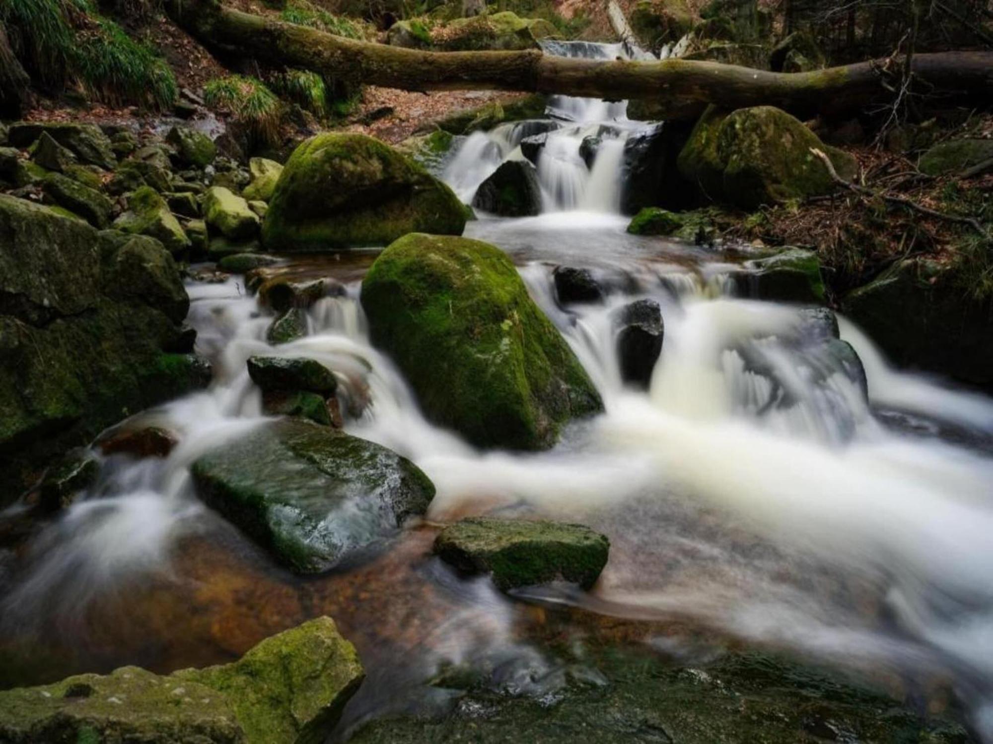 Classic Holiday Home In The Harz Mountains イルセンブルク エクステリア 写真