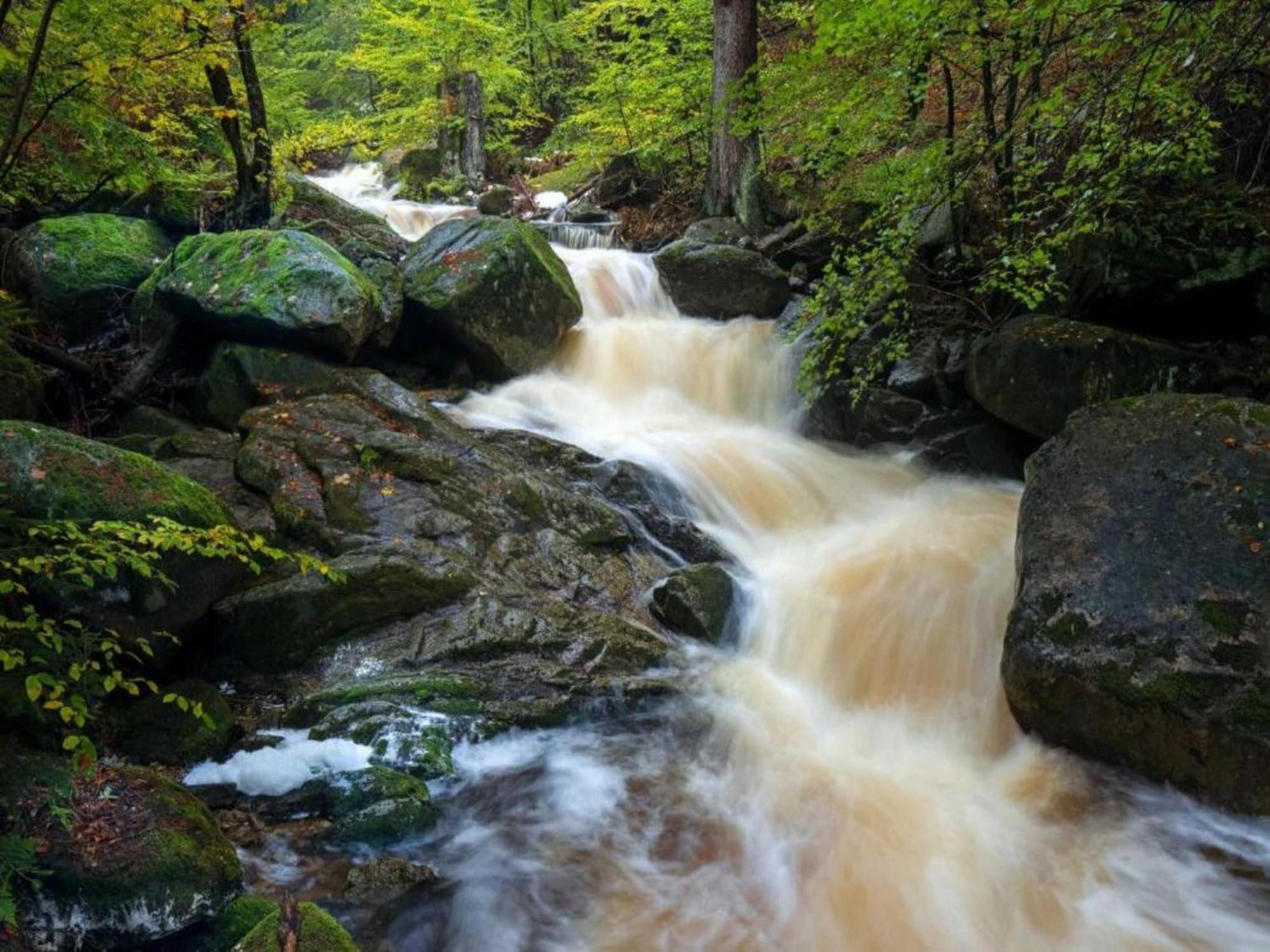 Classic Holiday Home In The Harz Mountains イルセンブルク エクステリア 写真